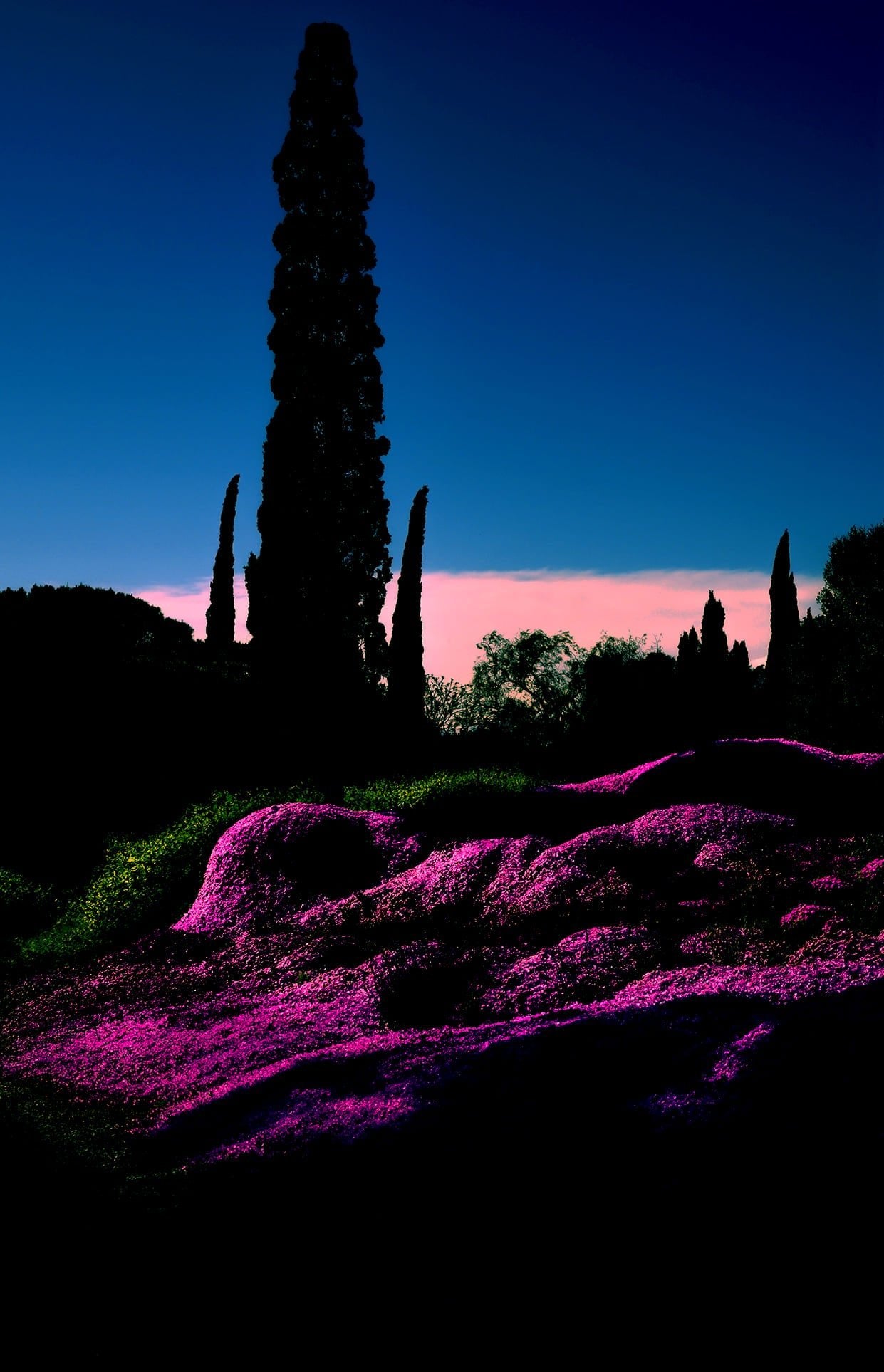 Finding your Compass 33 - Milette Raats - 30 x 45 cm Museum glass