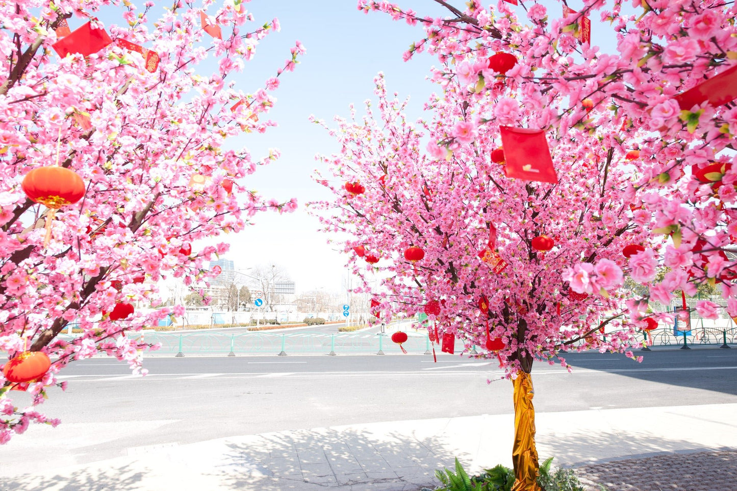 NOW IS GOOD 现在很好 Shanghai 19 - Premium Photo from Milette Raats - Just $1275! Shop now at Milette Raats