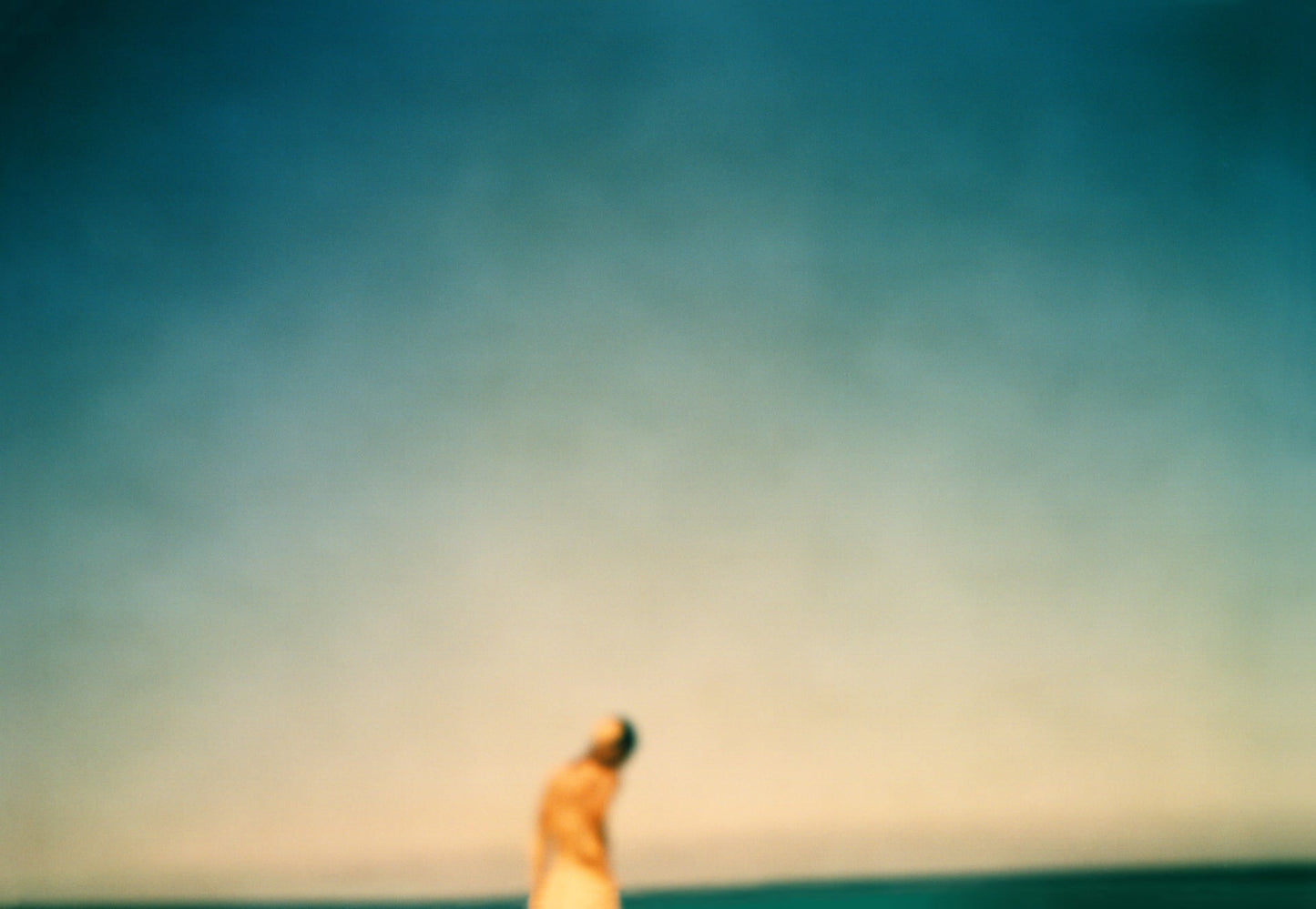 Strandloper - Milette Raats - 50 x 75 cm Museum glass