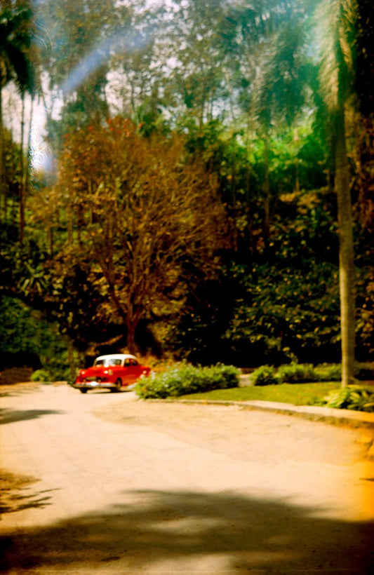 HAVANA PROSPECT 10 - Premium Photo from Milette Raats - Just $1275! Shop now at Milette Raats