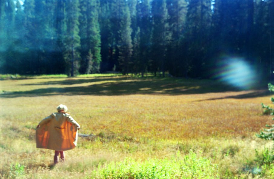 LYNN Into the Woods - Premium Photo from Milette Raats - Just $1275! Shop now at Milette Raats