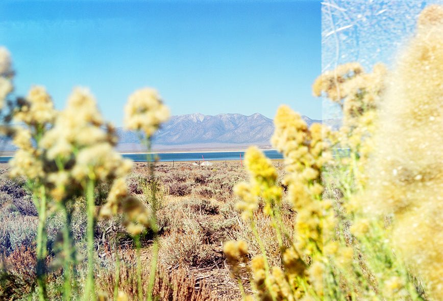 LYNN Popcornfields - Premium Photo from Milette Raats - Just $1275! Shop now at Milette Raats