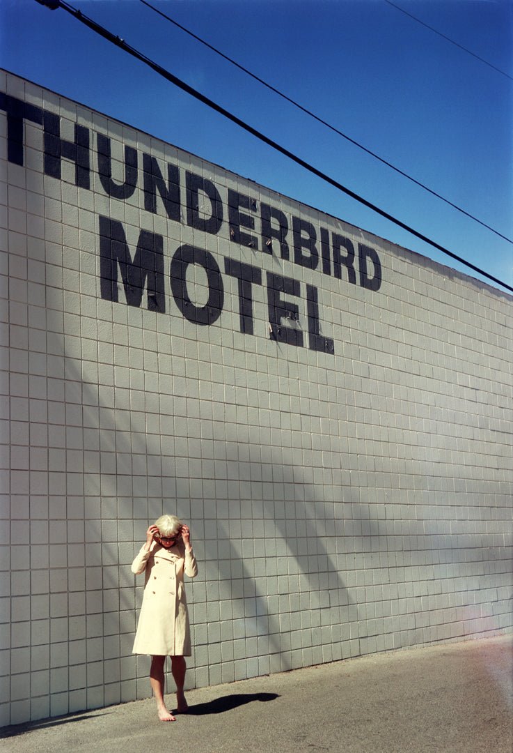 LYNN Thunderbird - Premium Photo from Milette Raats - Just $1275! Shop now at Milette Raats