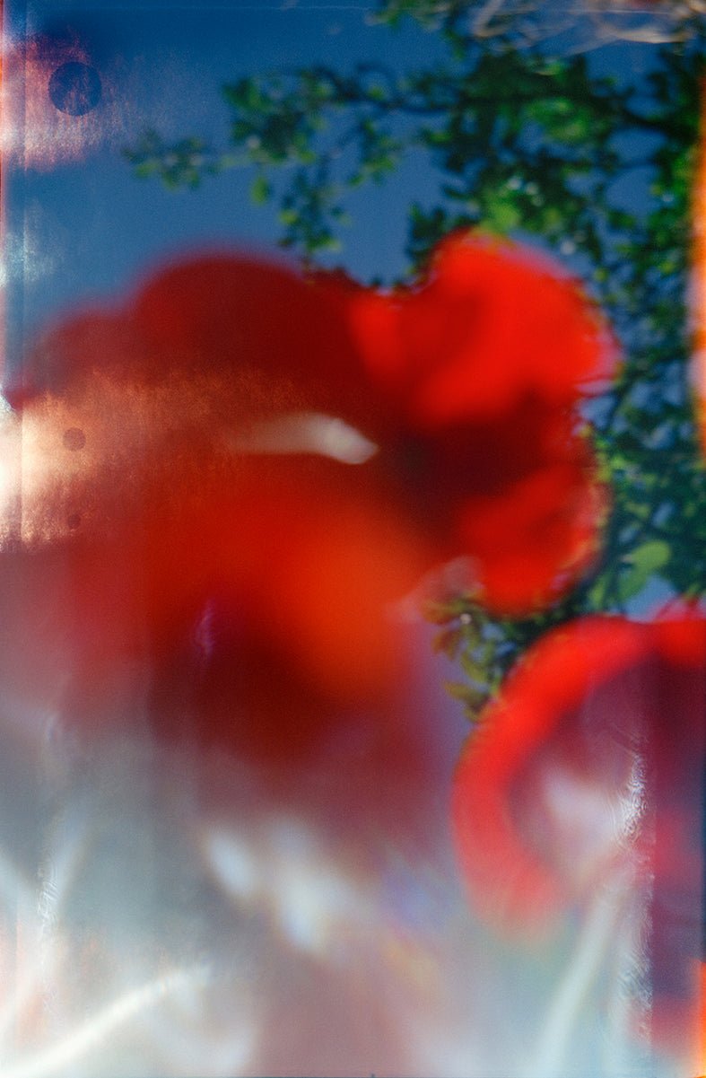 NOW IS GOOD Flowers - Premium from Milette Raats - Just $1250.00! Shop now at Milette Raats