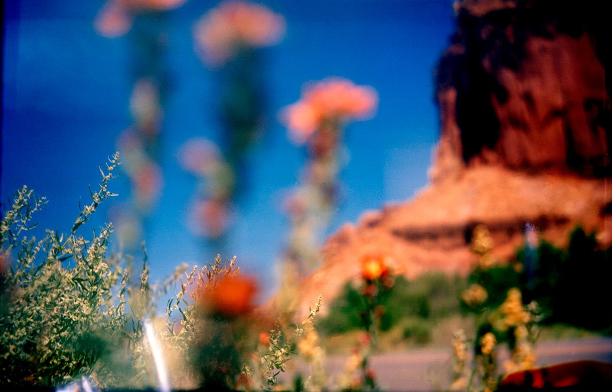 NOW IS GOOD Mexican Head - Premium Photo from Milette Raats - Just $1275! ShoFine Art Photographyp now at Milette Raats